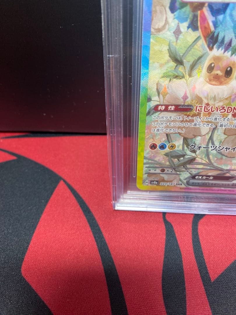 30周年に向け高騰中 BGS9.5イーブイex SAR テラスタルフェスex