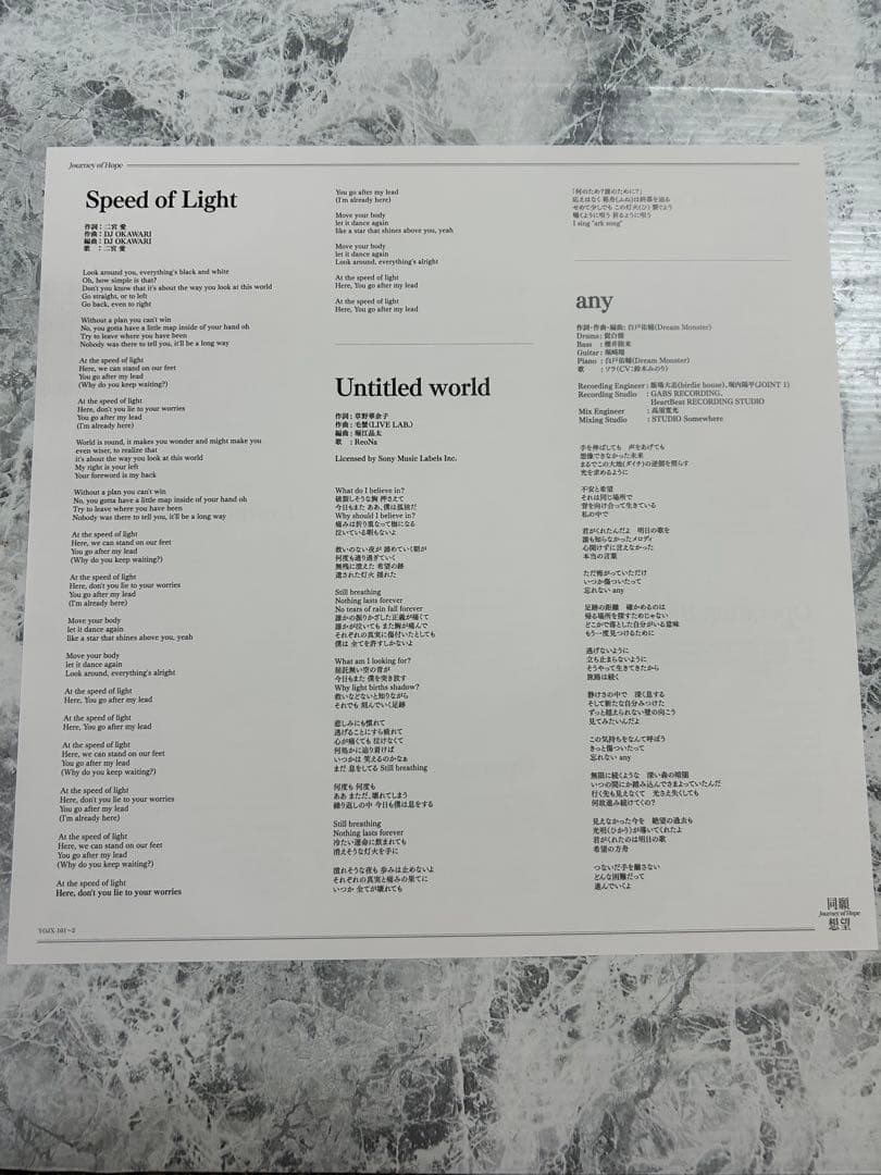 LPレコード　アークナイツ2周年記念アナログレコード「同願想望」[帯付]