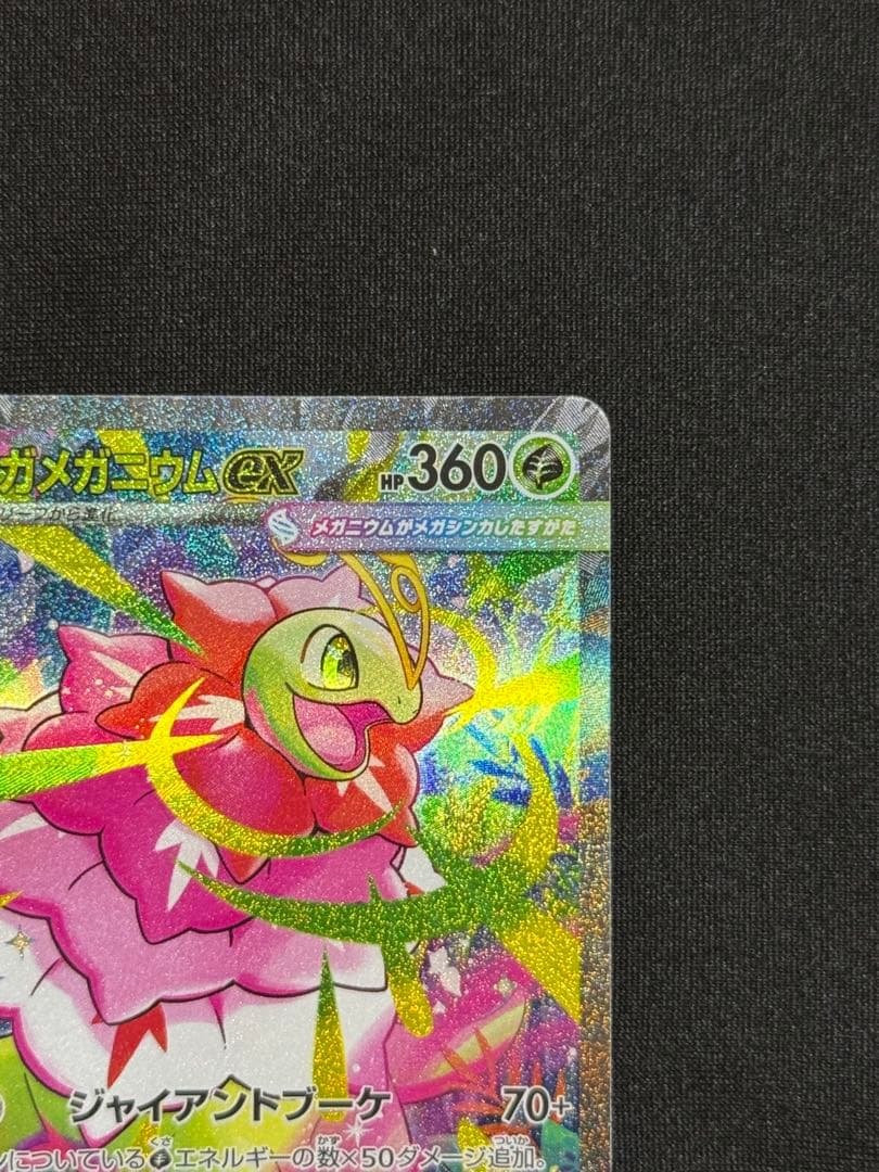 メガメガニウムEX HP360 Mc 761/742