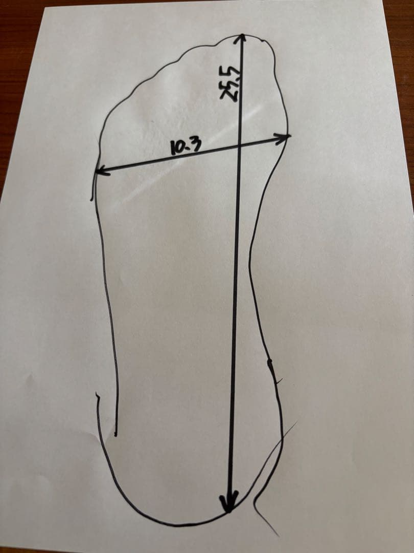 CAGIANA《カジーナ》 シューツリー付