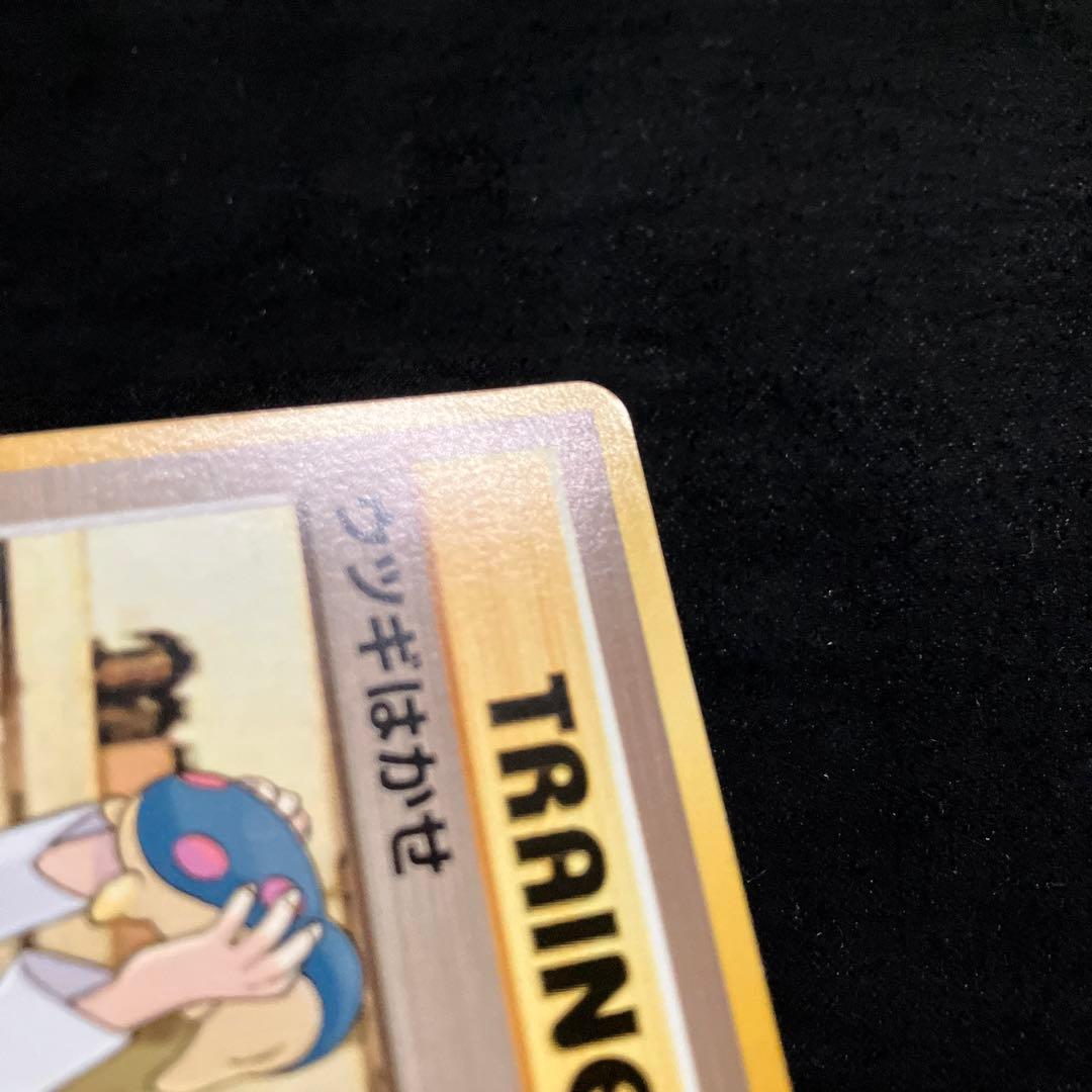 準美品　旧裏　ポケモンカード　ウツギはかせ　3枚