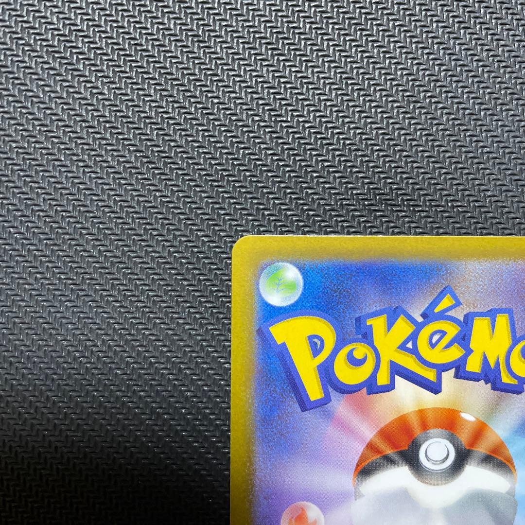 メイのはげまし　sar