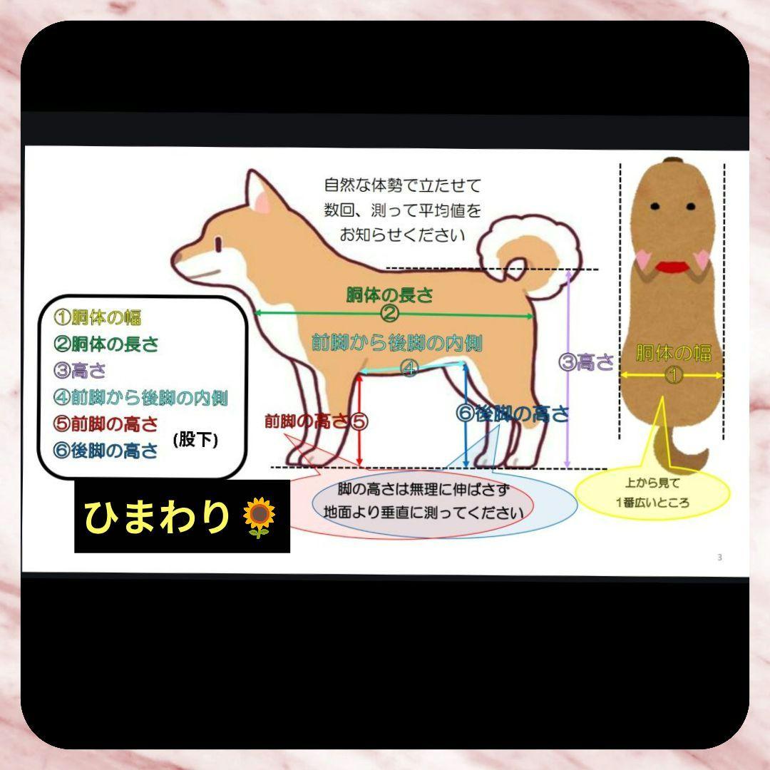 ワンちゃん4輪　リハビリ　食事補助　犬用車椅子　歩行補助　犬の歩行器