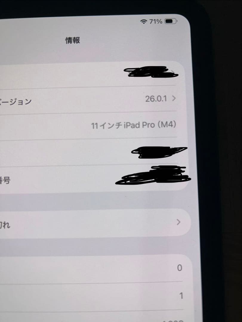 11インチ iPad Pro (M4) スペースグレー WiFiモデル