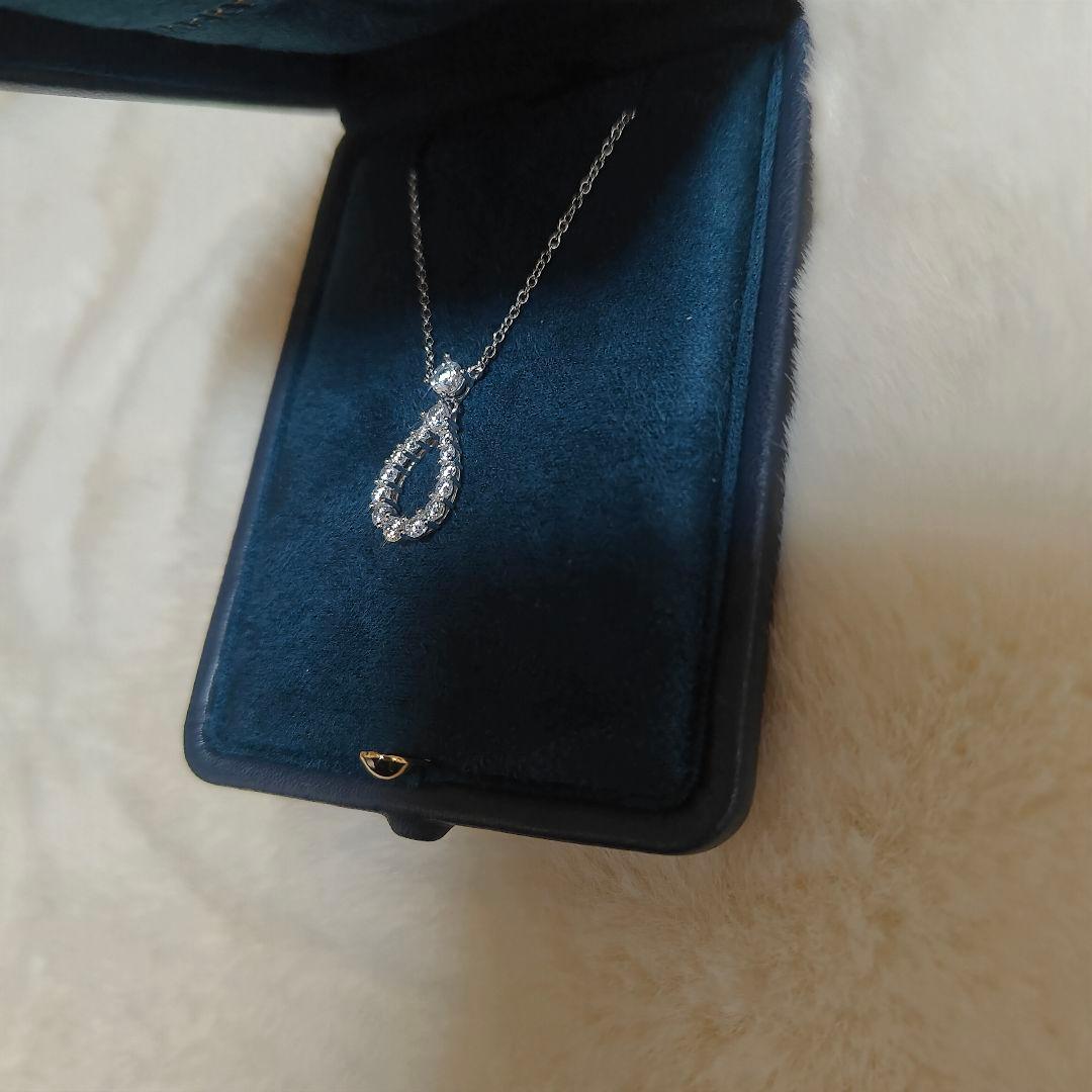 ループ　ネックレス　ハリー　ペンダント