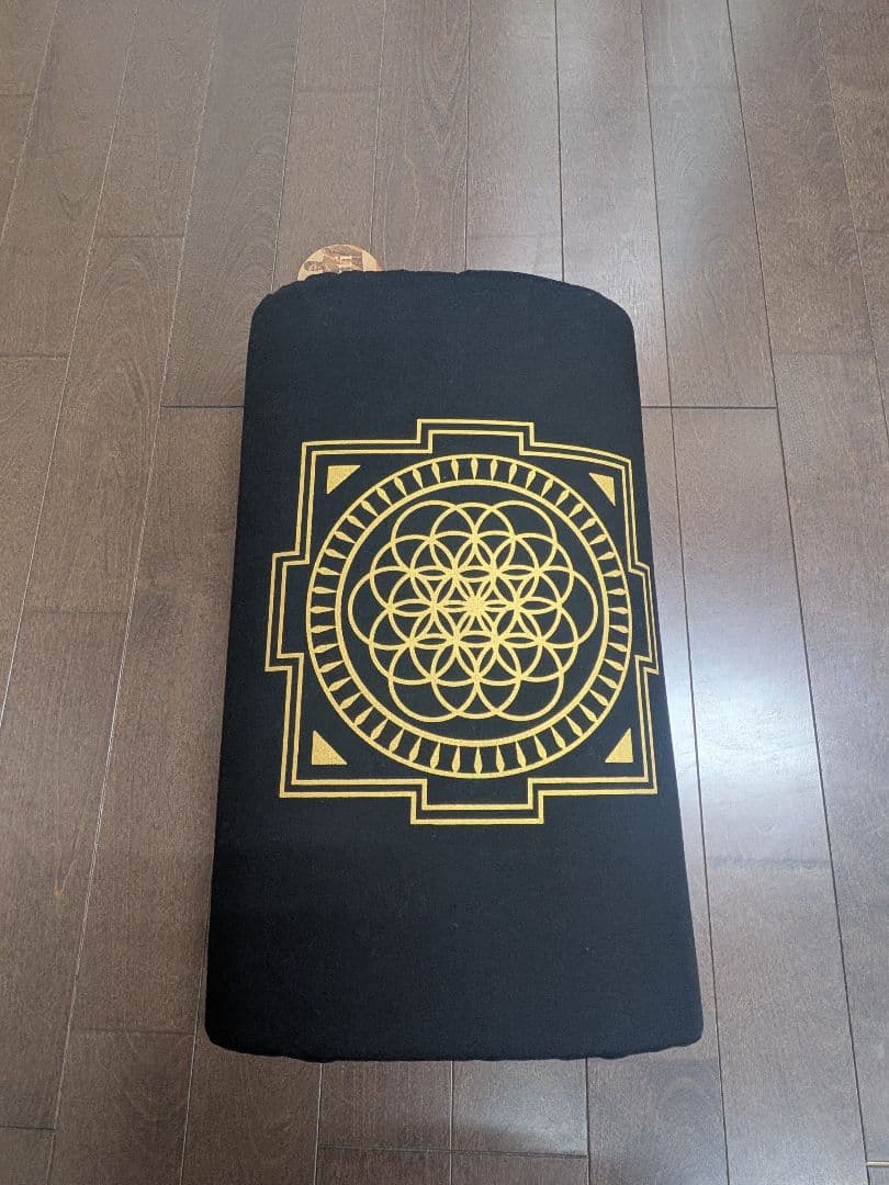 【純正品】Shakti シャクティプレミアムマット 黒