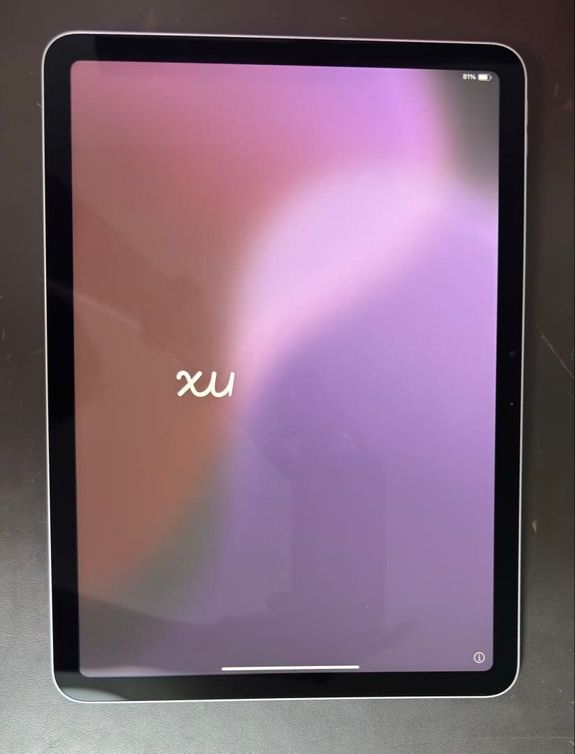 iPad Air M3 11インチ 128GB スペースグレイ 本体 + おまけ