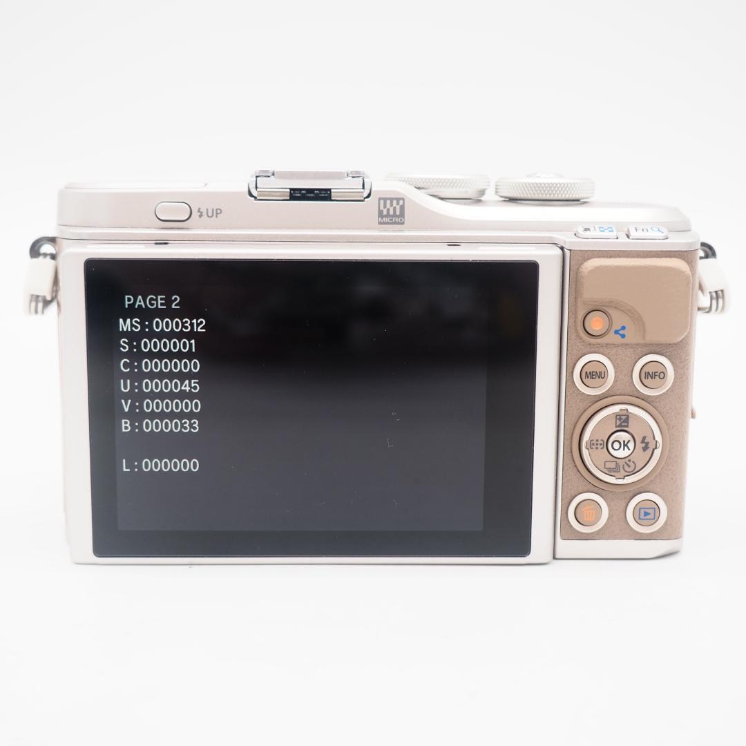 ショット数 312回！OLYMPUS PEN E-PL10 ダブルレンズセット