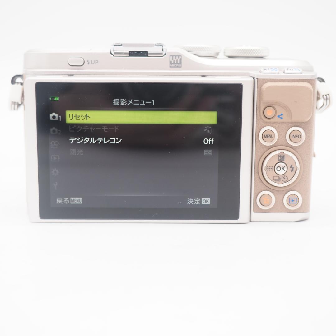 ショット数 312回！OLYMPUS PEN E-PL10 ダブルレンズセット