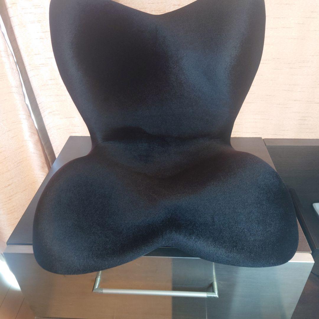 MTG　Style　PREMIUM　骨盤調整座椅子