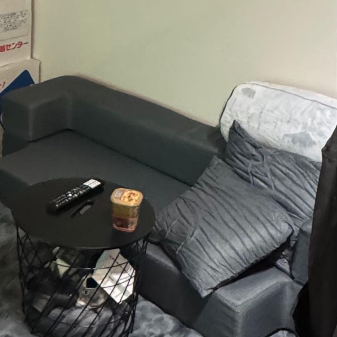 ツ*ー様 RASIK ラシク　高反発ウレタンソファベット NIELS ニルス ダ