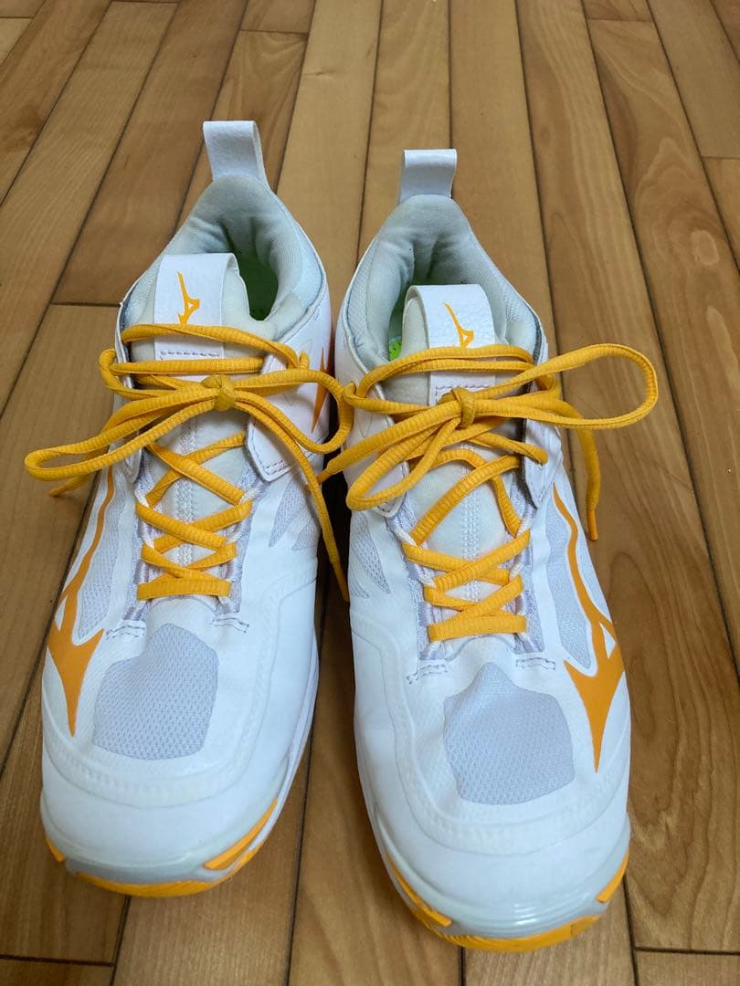 専用　WAVE MOMENTUM 2 バレーボールシューズ　26.0cm