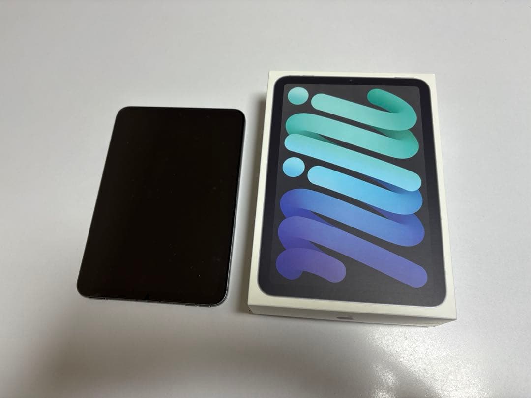 Apple 2021 iPad mini スペースグレイ　 256GB