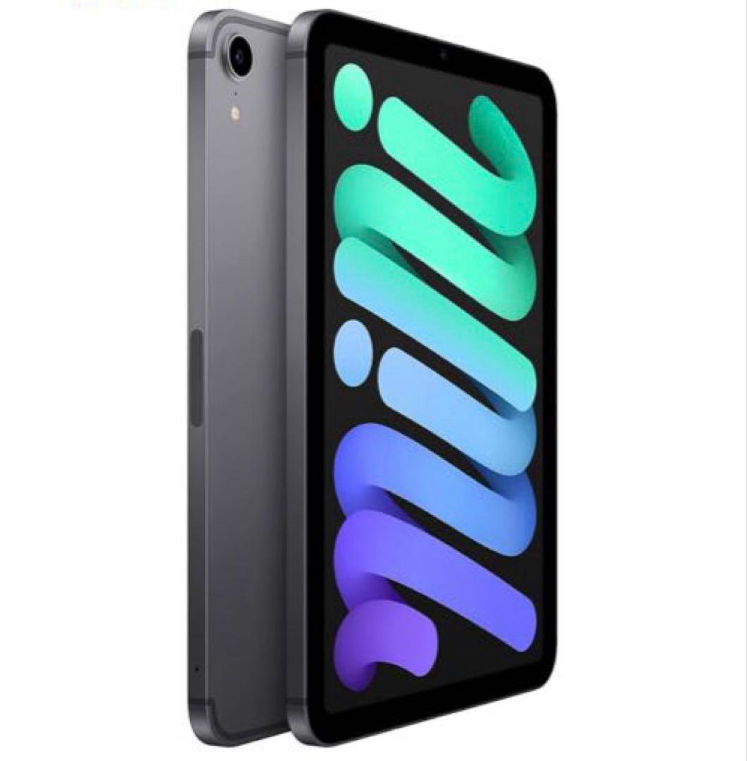 Apple 2021 iPad mini スペースグレイ　 256GB