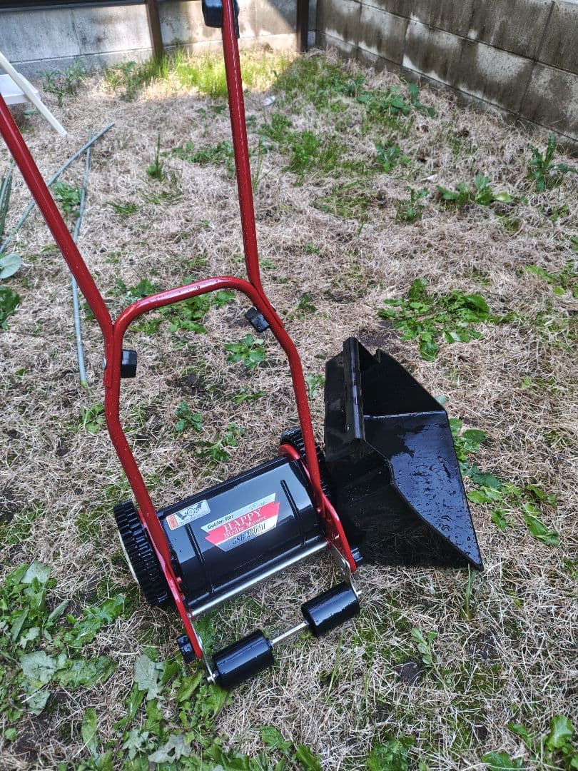 キンボシ ハッピーバーディーモア ゴールデンスター