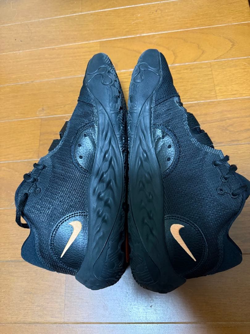 シューズ(男性用) Nike PG6 Black llic gold 27.0