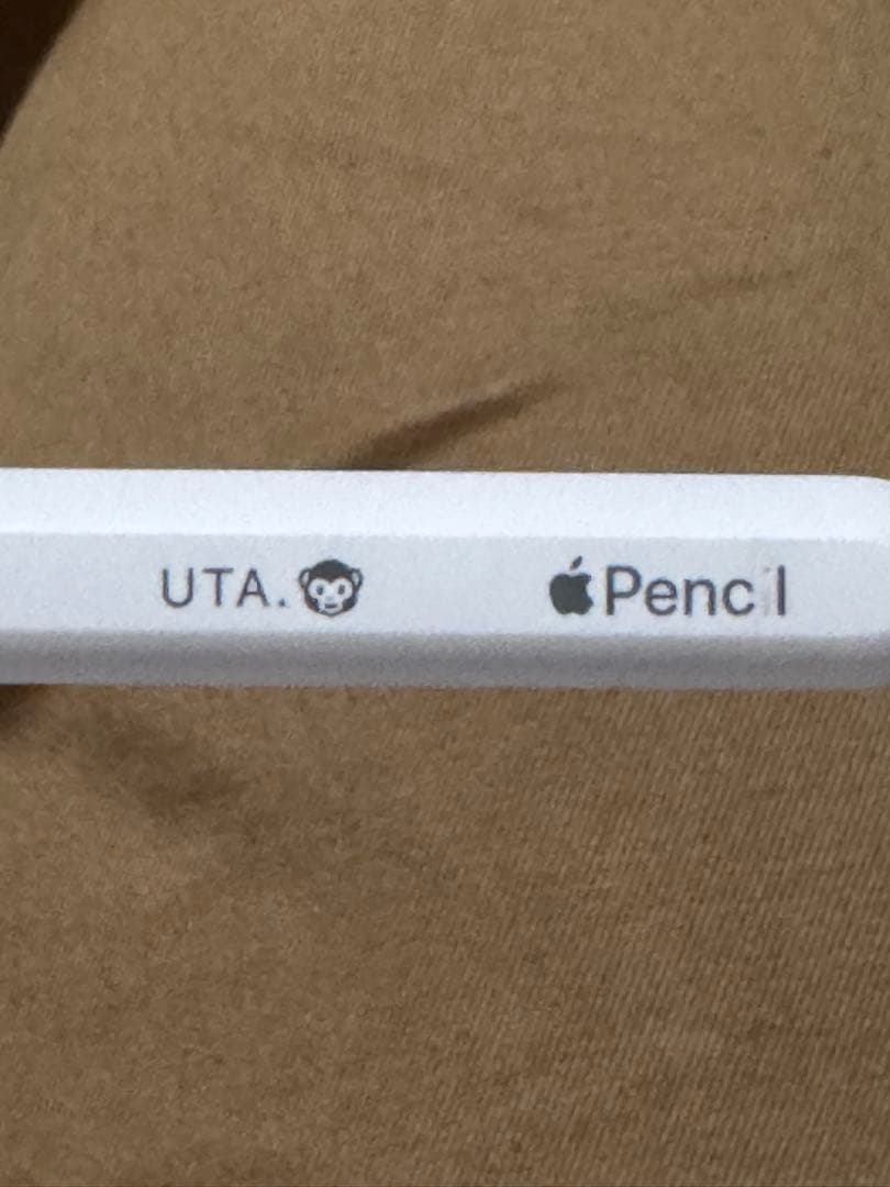 iPad mini(第6世代) + Apple Pencil (第2世代)