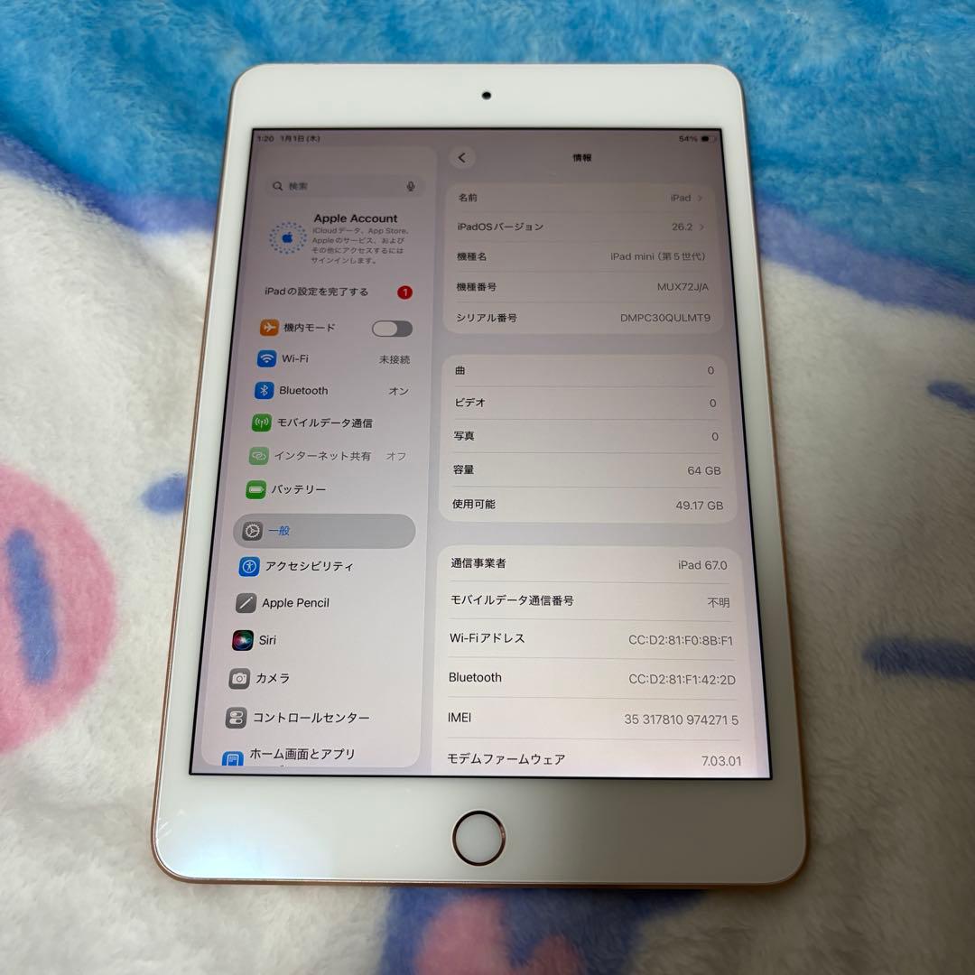 【ケース付き】 iPad mini 第5世代 64GB Cellularモデル