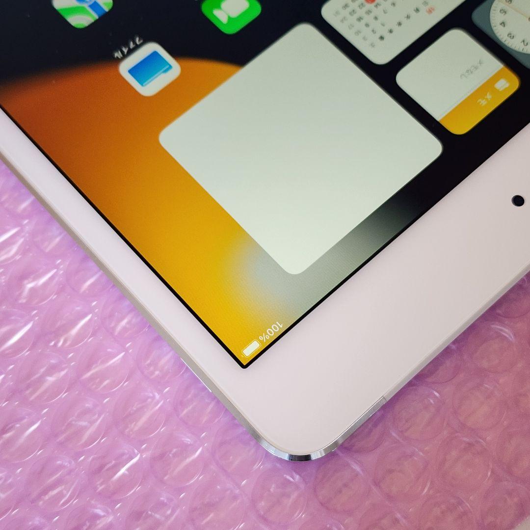 iPad mini 4　128GB　バッテリー良好　Wi-Fi+Cellular