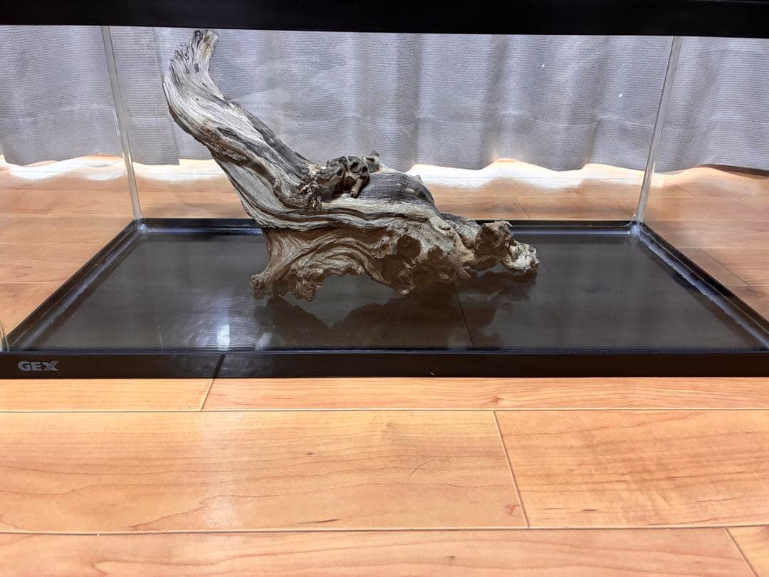 だぃすけ　水槽セット ライト ヒーター ポンプ マット ガラス蓋　流木付き