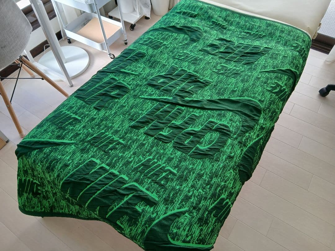 レア Cactus Plant Flea Market × Nikeブランケット