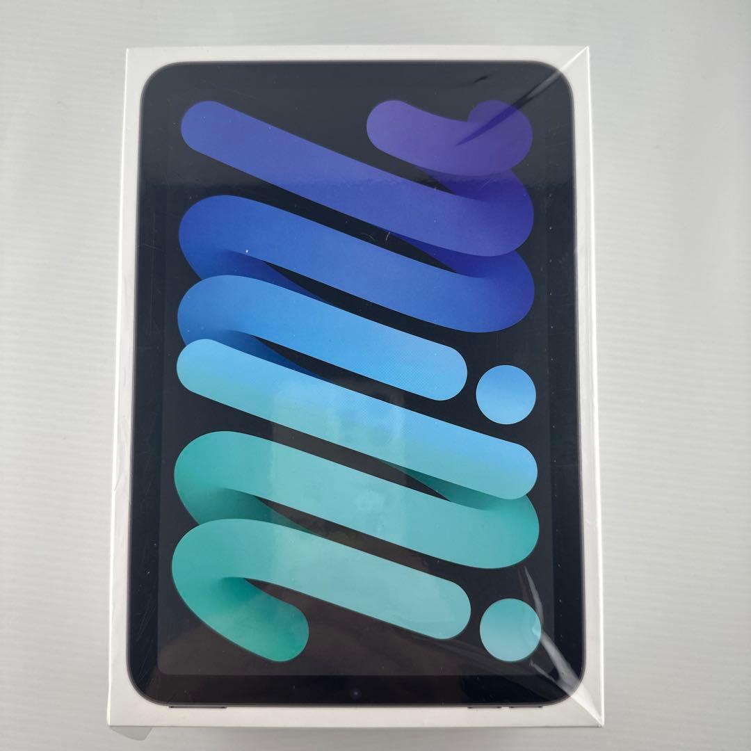 iPad mini 第6世代　256G スペースグレイ　おまけ付き