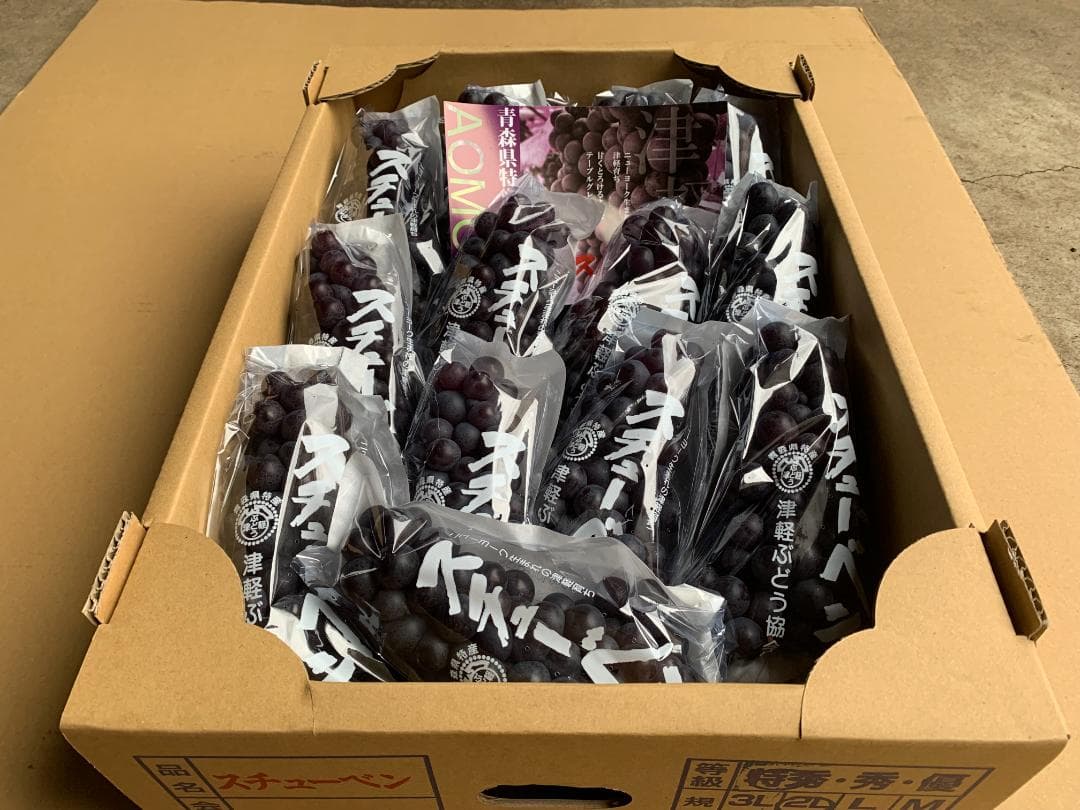 【週末値引】青森県津軽地方産ぶどう　つるたスチューベン　約１０キロ　ご家庭贈答用