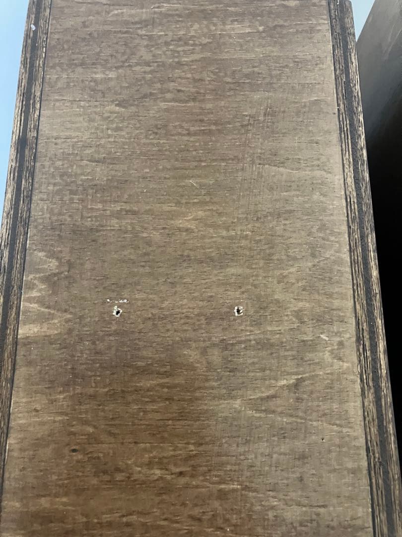 FOSTEX FE103SOL + 標準バックロードホーン（自作）