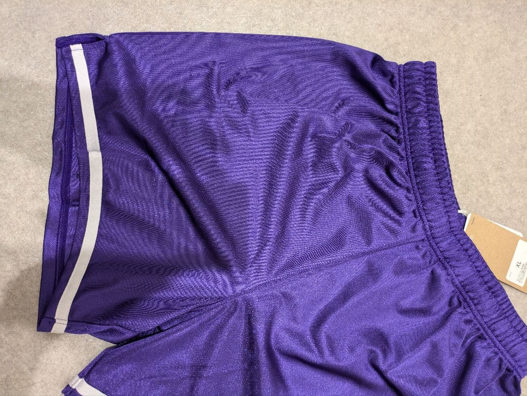 ☆パープルロゴ　ASICS　アシックス　バレーボール　ゲームパンツ　パンツ