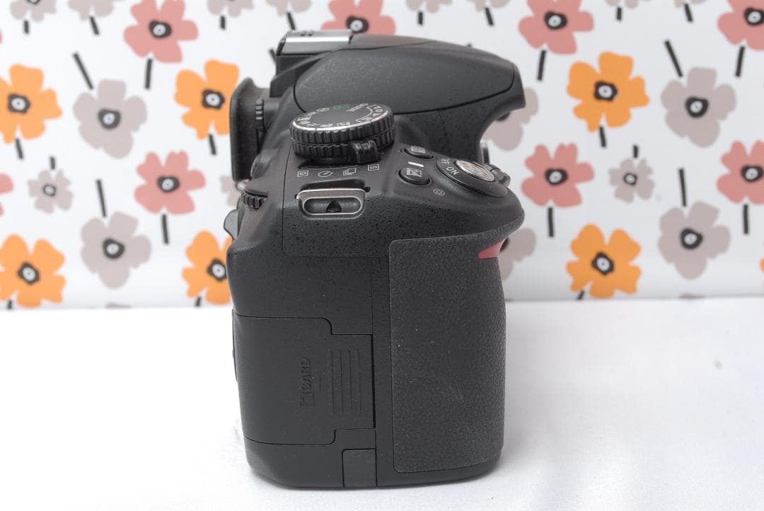❤即購入1000円OFF❤Nikon D3100❤ショット数319回❤美品❤