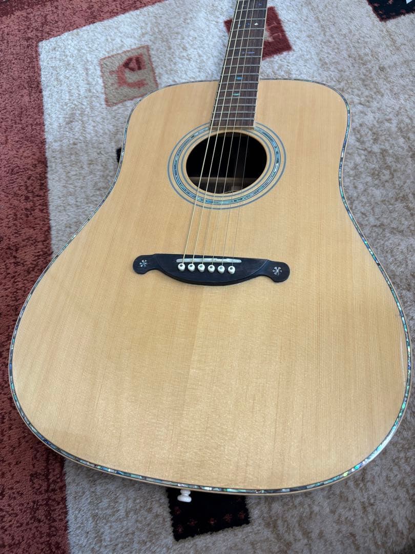 JAMES JD900 NA オール単板ギター