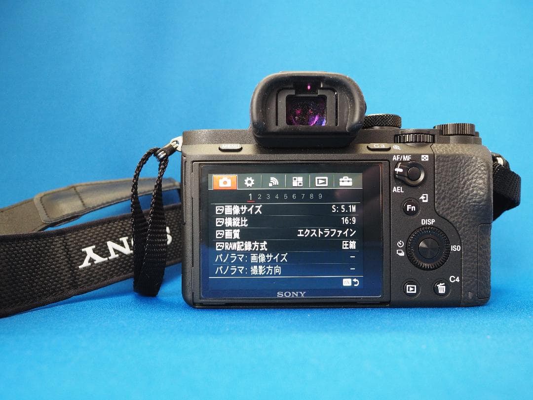 ソニーα７Ⅱ＆ グリップエクステンション(GP-X1EM)