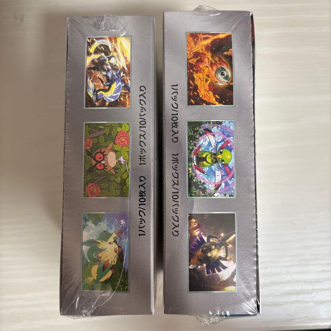 ポケモンカード テラスタルフェスEX 2boxセット