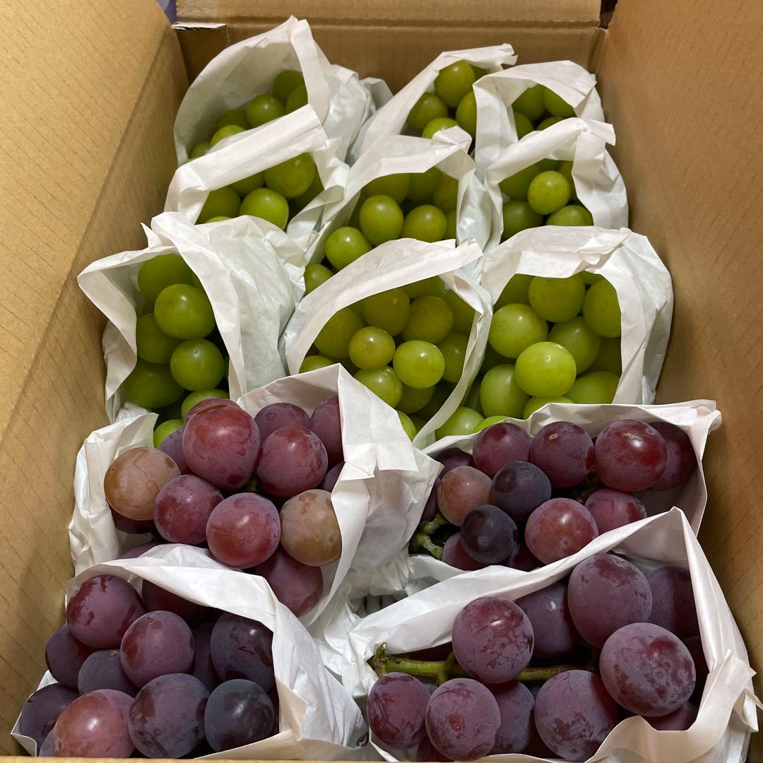 明日最終日★訳ありシャインとクィンニーナ13房　約4キロ ※画像のままいきます