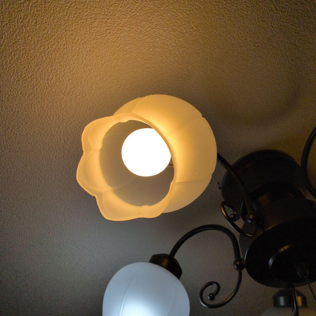 Muguet 5 シーリングライト 5灯　※たのメル便にて電球なし