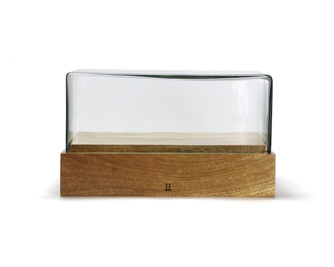 Glass Dome \"WB-RECT-2\" ガラスドーム