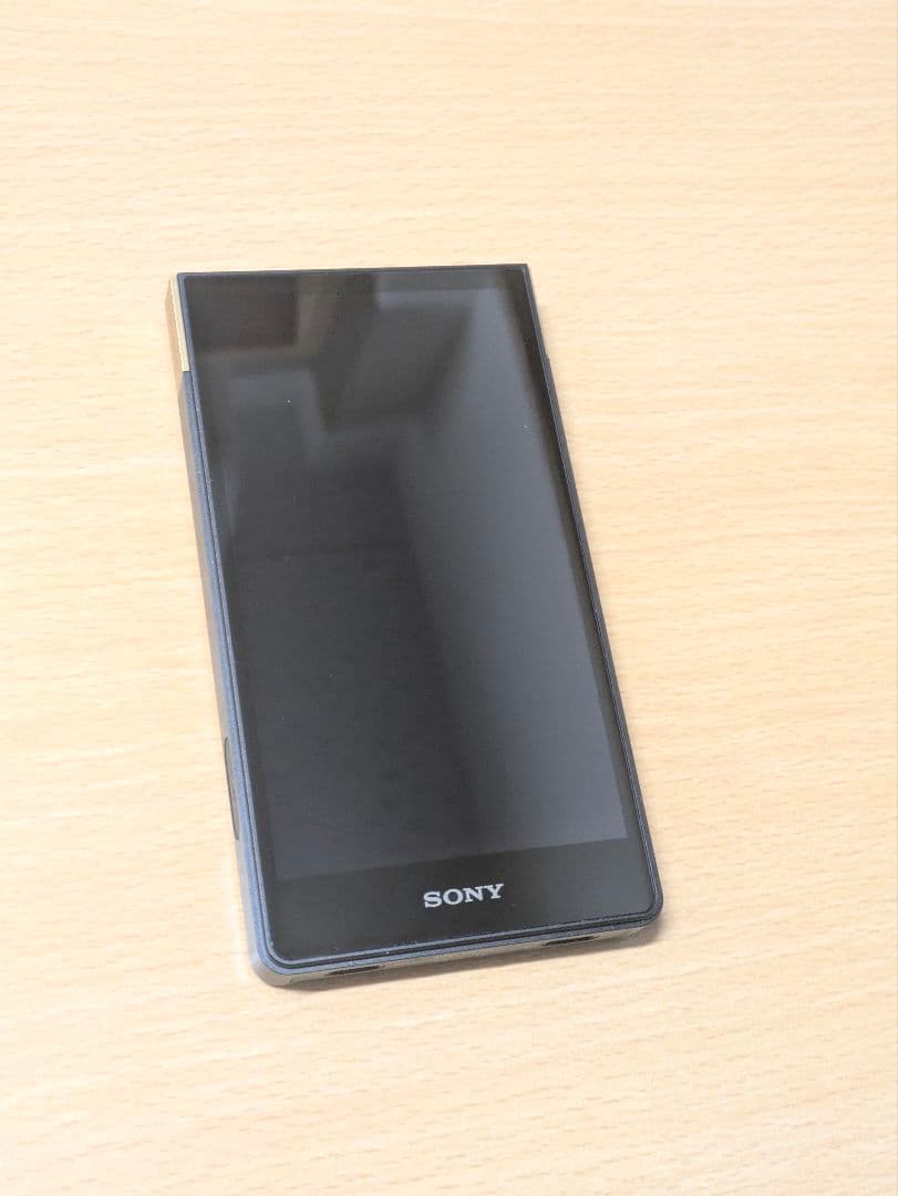 【週末セール中】SONY NW-ZX707 WALKMAN専用ケースセット