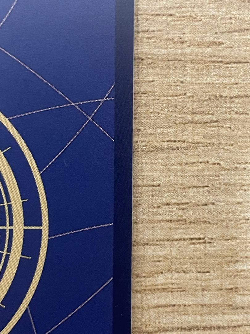 OP13-119 ポートガス・D・エース　SP 手配書