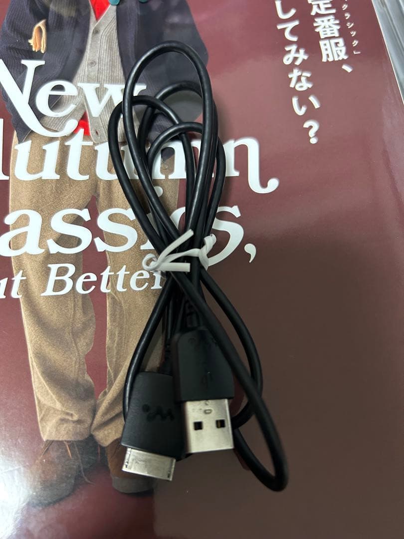 ソニー ウォークマンAシリーズ NW-A50Series 64GB NW-A57