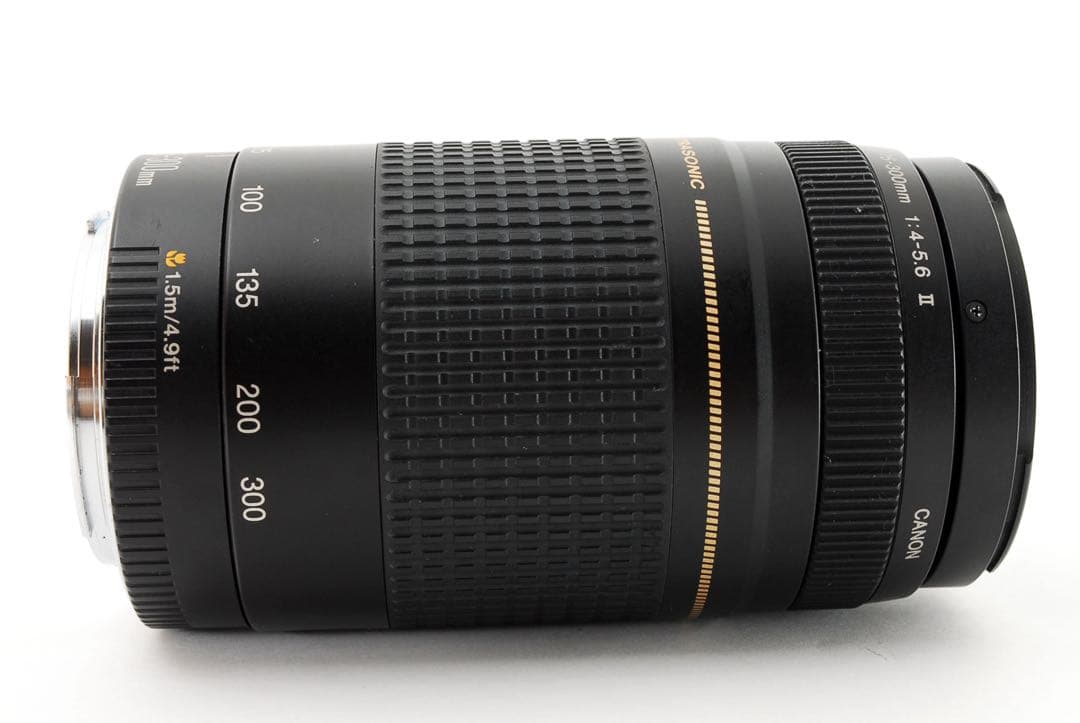 スポーツ/イベント/人気の望遠レンズ/Canon EF75-300㎜