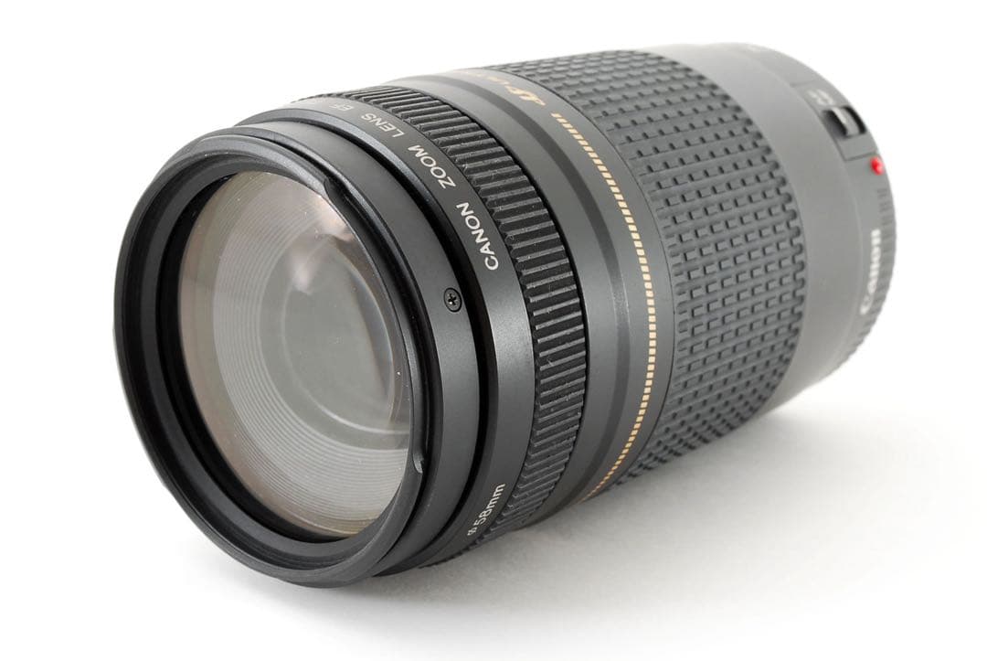 スポーツ/イベント/人気の望遠レンズ/Canon EF75-300㎜