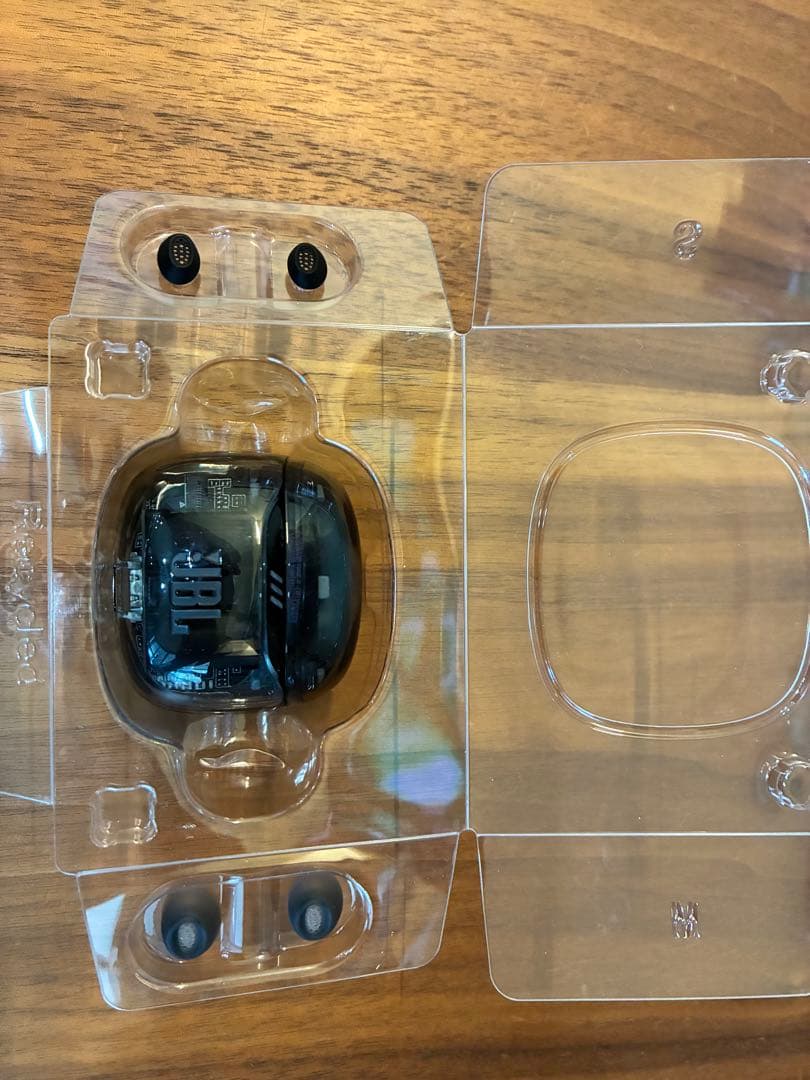 イヤホン JBL TUNE FLEX 2 GHOST EDITION Black