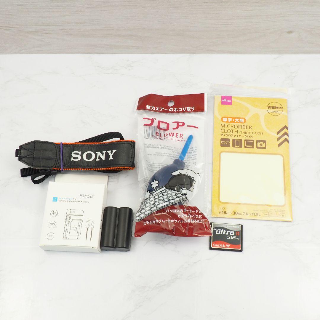 ⭐️SONY α100 MINOLTA 28-80 70-210 ダブルズーム