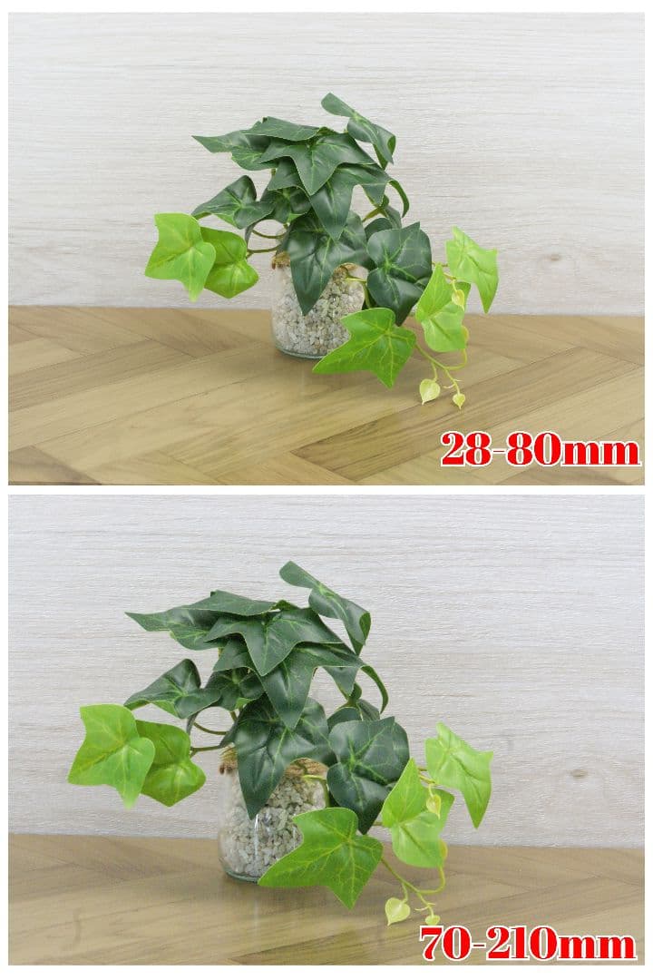 ⭐️SONY α100 MINOLTA 28-80 70-210 ダブルズーム