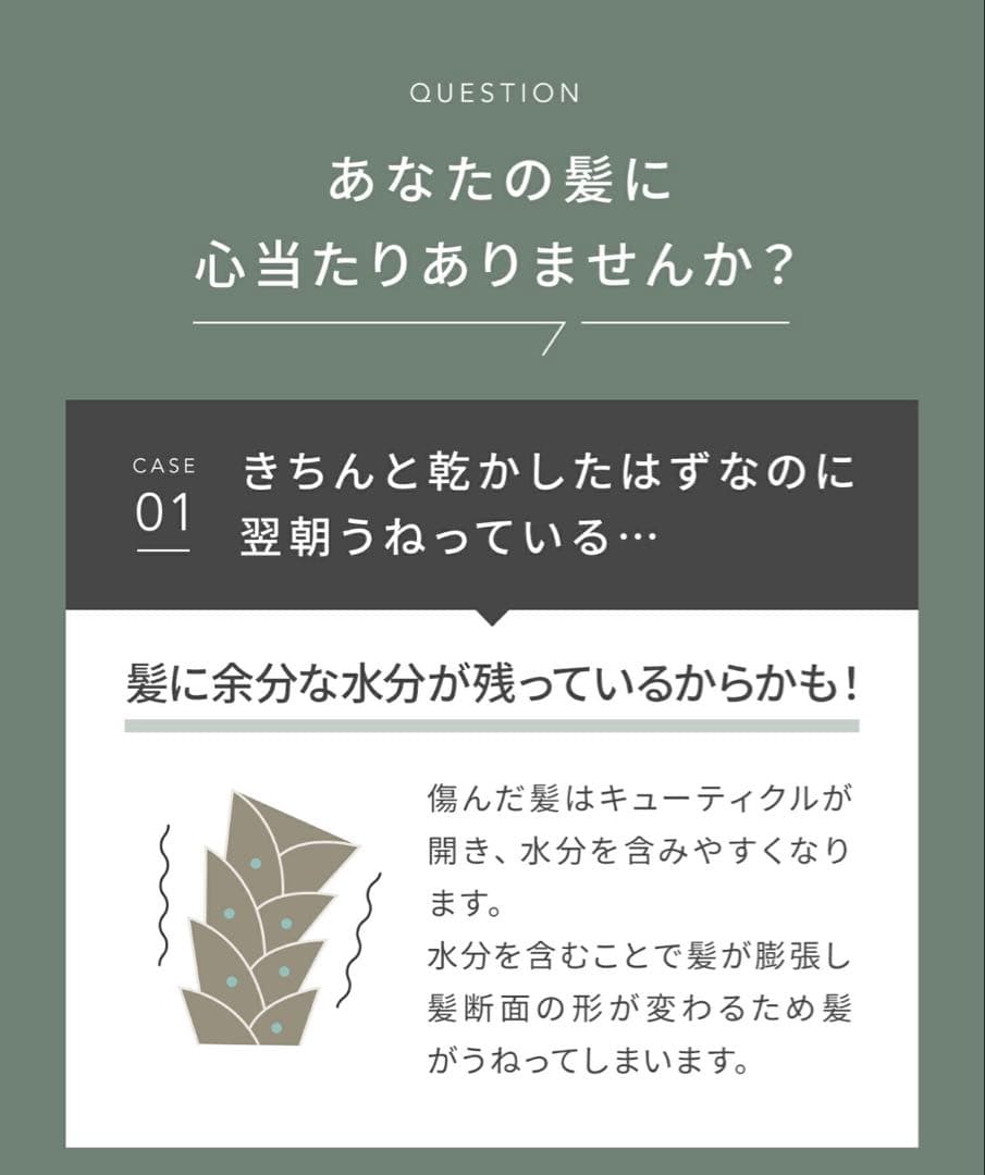 【新品/未使用】SALONIA エアトリートメント ドライヤー 最上位モデル