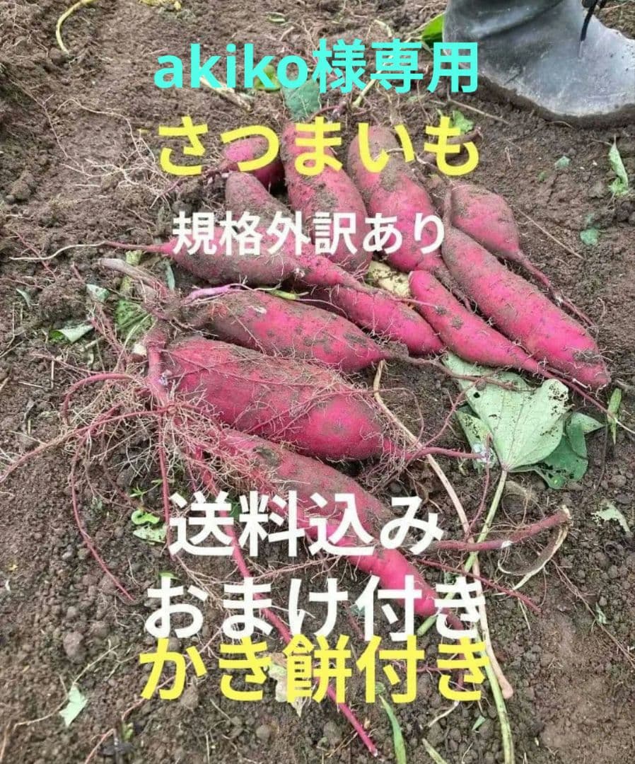 akiko大前さんさつまいも 規格外 送料込み おまけ付き