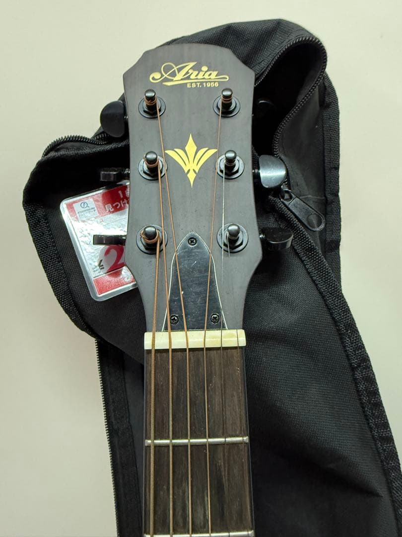 ARIA FET-F2 STBK エレアコ サテン・ブラック　ソフトカバー付き