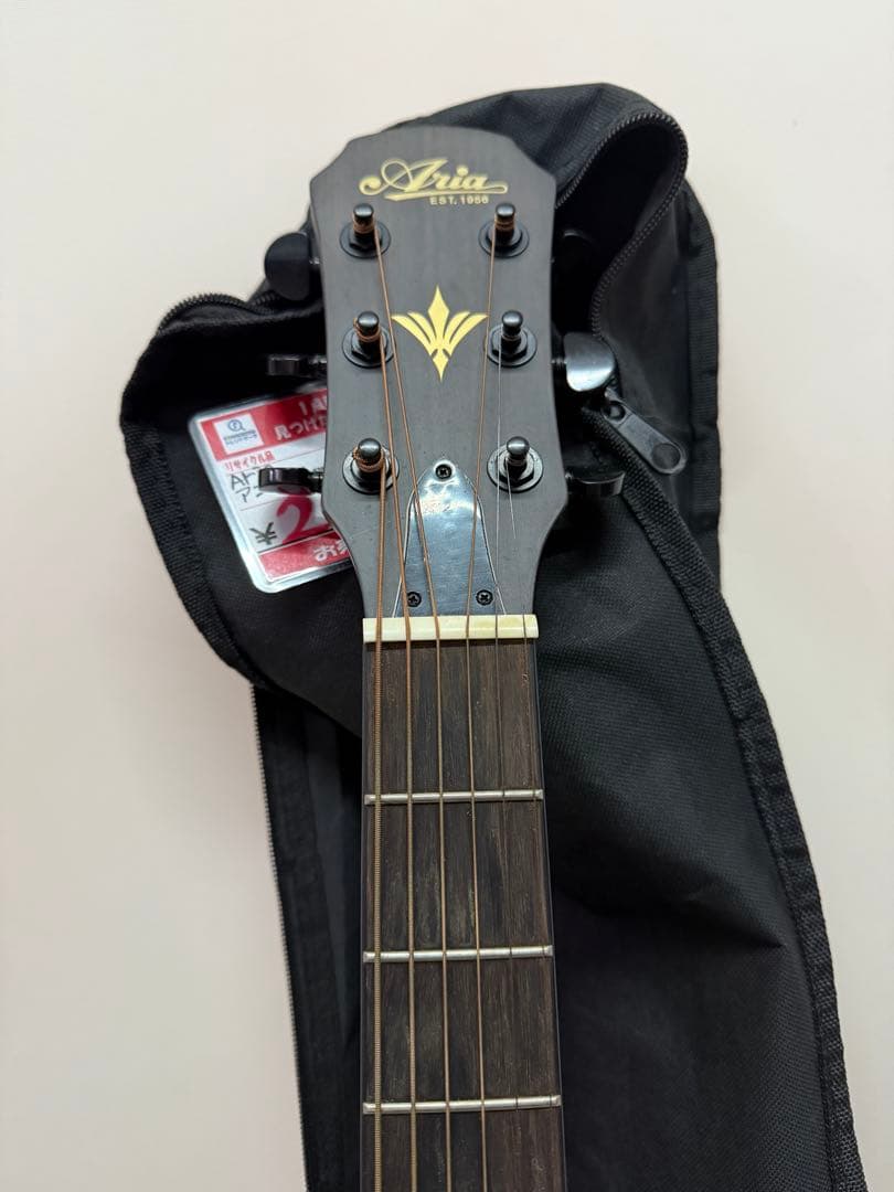 ARIA FET-F2 STBK エレアコ サテン・ブラック　ソフトカバー付き