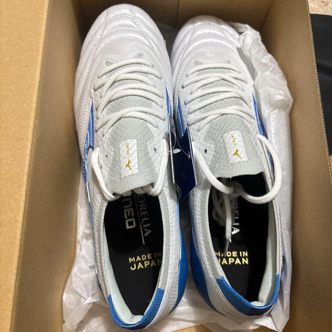 モレリアネオ4 βJAPAN