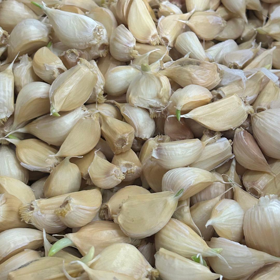 【激安】青森県産にんにく MIXバラ10kg福地ホワイト　お買い得